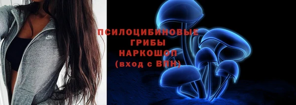 мет Богданович