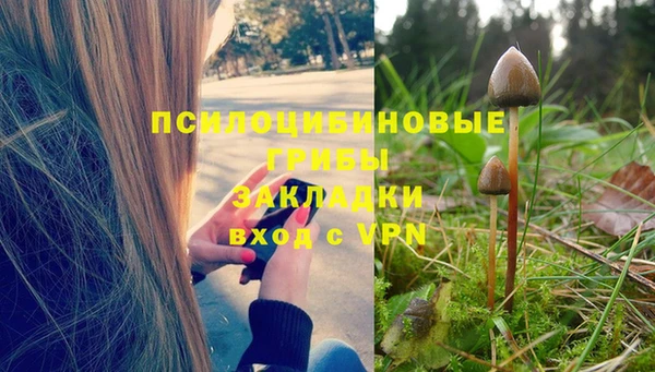 мет Богданович